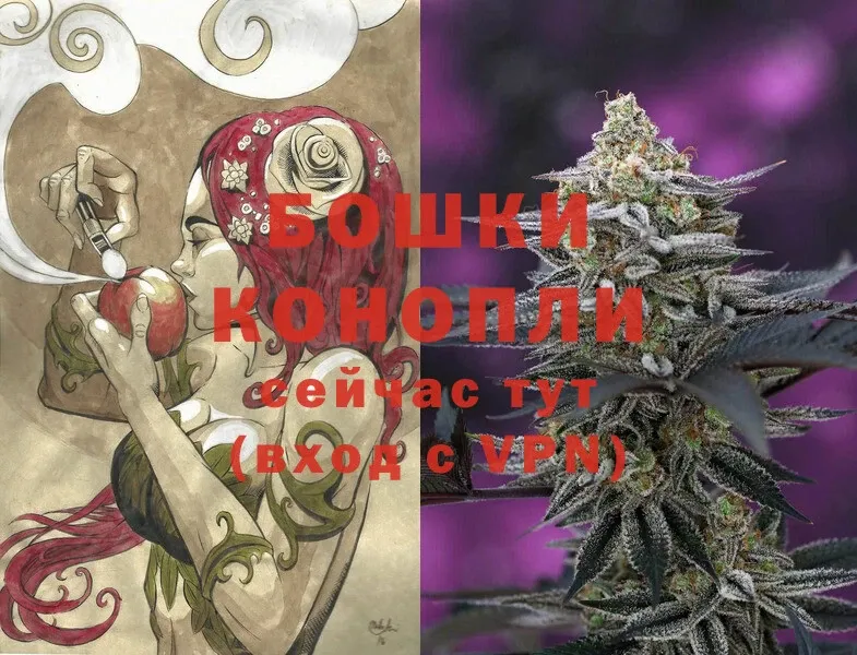 цена наркотик  Новосиль  Канабис OG Kush 